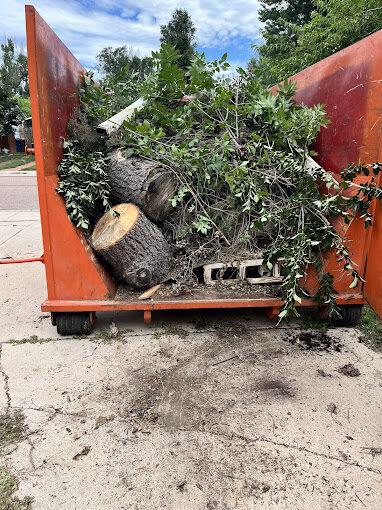 Bargain Bins Dumpster Rental Denver photo