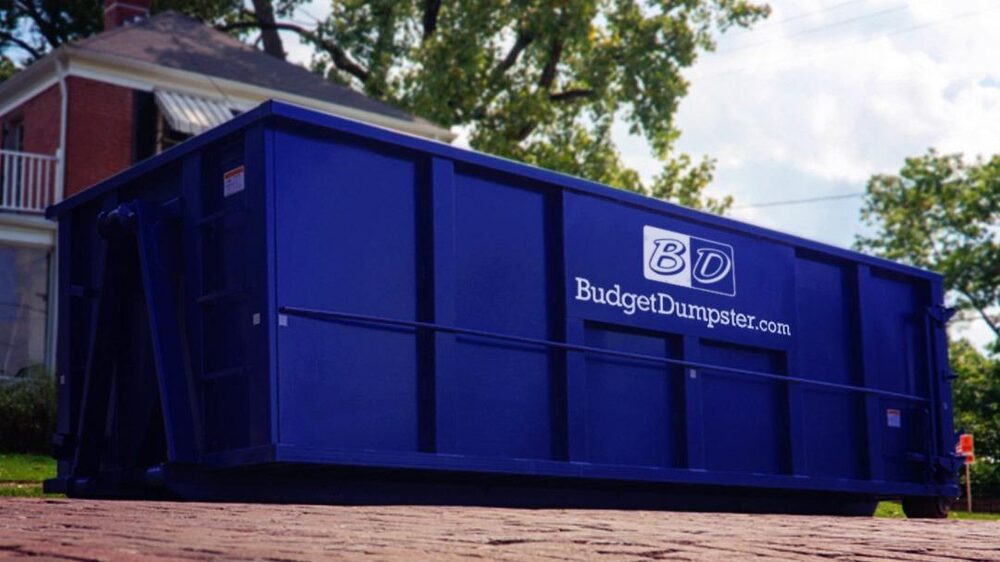 Budget Dumpster photo