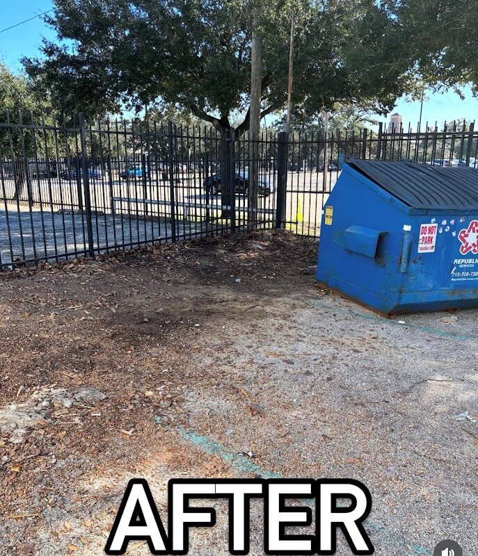 Goldmine Dumpsters photo